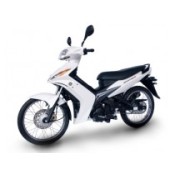 CRYPTON X 135