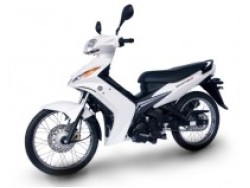 CRYPTON X 135