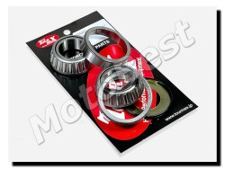 ΡΟΥΛΕΜΑΝ ΤΙΜΟΝΙΟΥ DL 650 V STROM JAPAN